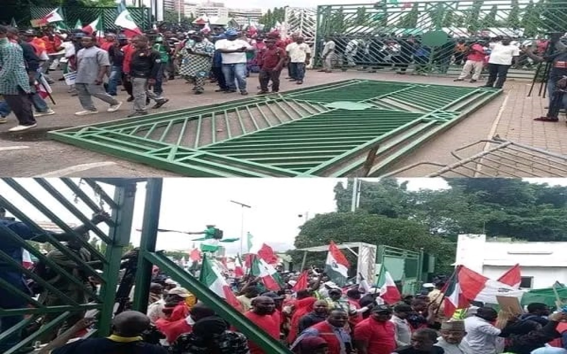 Protesters pull down NASS gate, take over premise