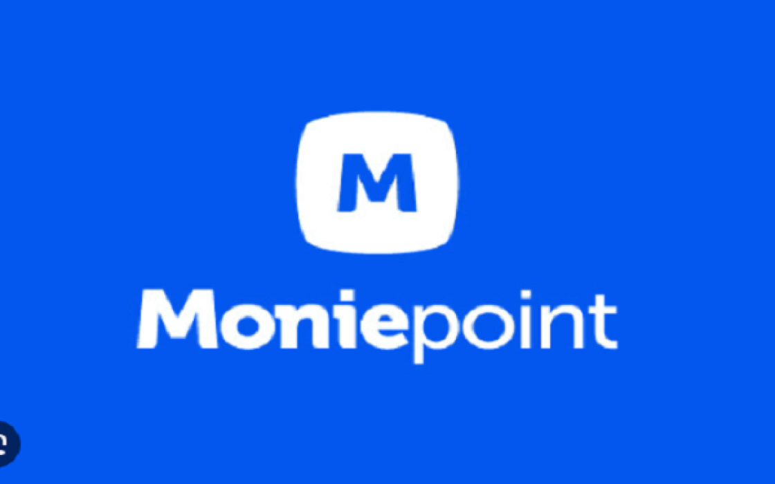 Moniepoint agent held over N16.3m POS fraud