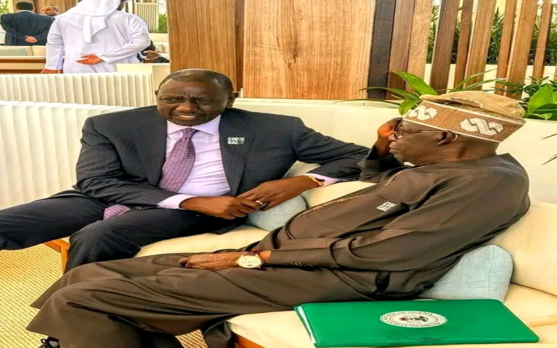 Tinubu Meets Ruto Ahead Of COP28 Climate Summit