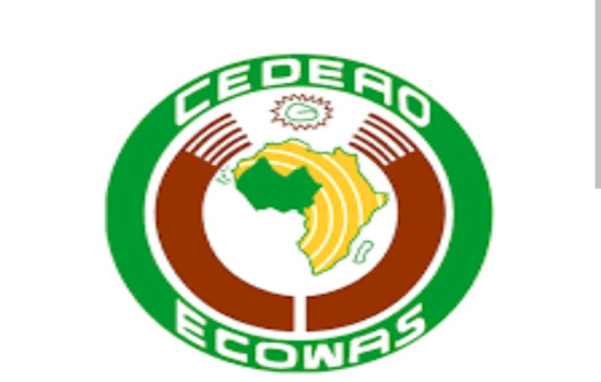Terrorism Allegation By Niger: ECOWAS Throws Weight Behind Nigeria, Other Member States