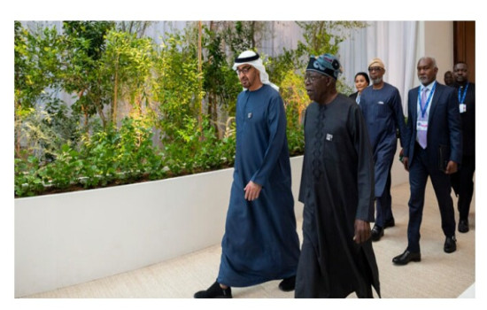 UAE President To Visit Nigeria In 2025 — Onanuga