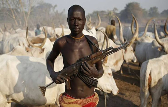Many Killed As Suspected Herdsmen Attack Ebonyi Community